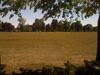 Chippenham vs Strollers, 23 May 2010