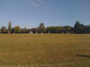 Stumps vs Strollers smackdown, 18 July 2010