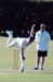 Codicote v Pimlico Strollers (19 July 2015)