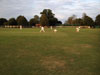 Chippenham v Pimlico Strollers (16 August 2015)