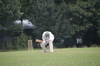 The skipper unconventionally heads the ball