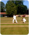 Chippenham 2010 