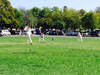 Zes CC v Pimlico Strollers CC (Corfu, 13 September 2015)