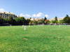 Zes CC v Pimlico Strollers CC (Corfu, 13 September 2015)