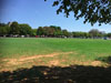 Zes CC v Pimlico Strollers CC (Corfu, 13 September 2015)