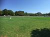 Zes CC v Pimlico Strollers CC (Corfu, 13 September 2015)