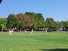 Zes CC v Pimlico Strollers CC (Corfu, 13 September 2015)
