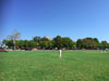 Zes CC v Pimlico Strollers CC (Corfu, 13 September 2015)