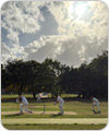 Strollers vs Ploughmans, 31 August 2025